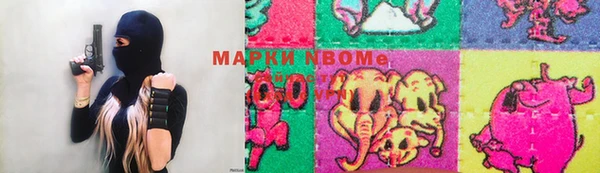 хмурый Алексин