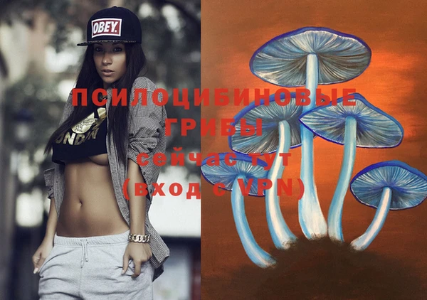 скорость Алексеевка