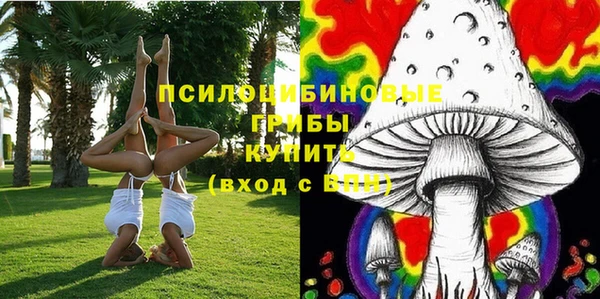 хмурый Алексин