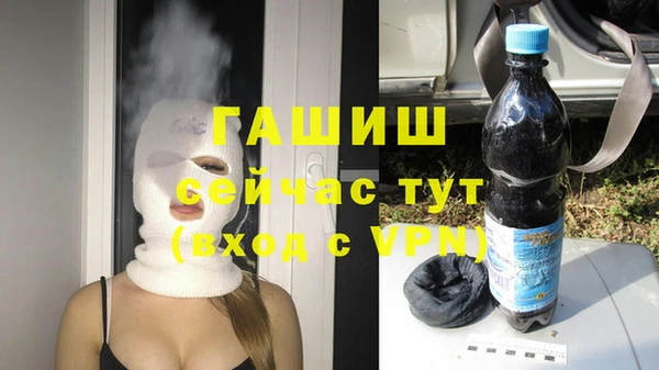 хмурый Алексин