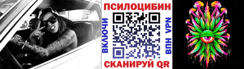 Псилоцибиновые грибы MAGIC MUSHROOMS Заволжск
