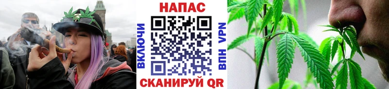 Каннабис индика  Заволжск 